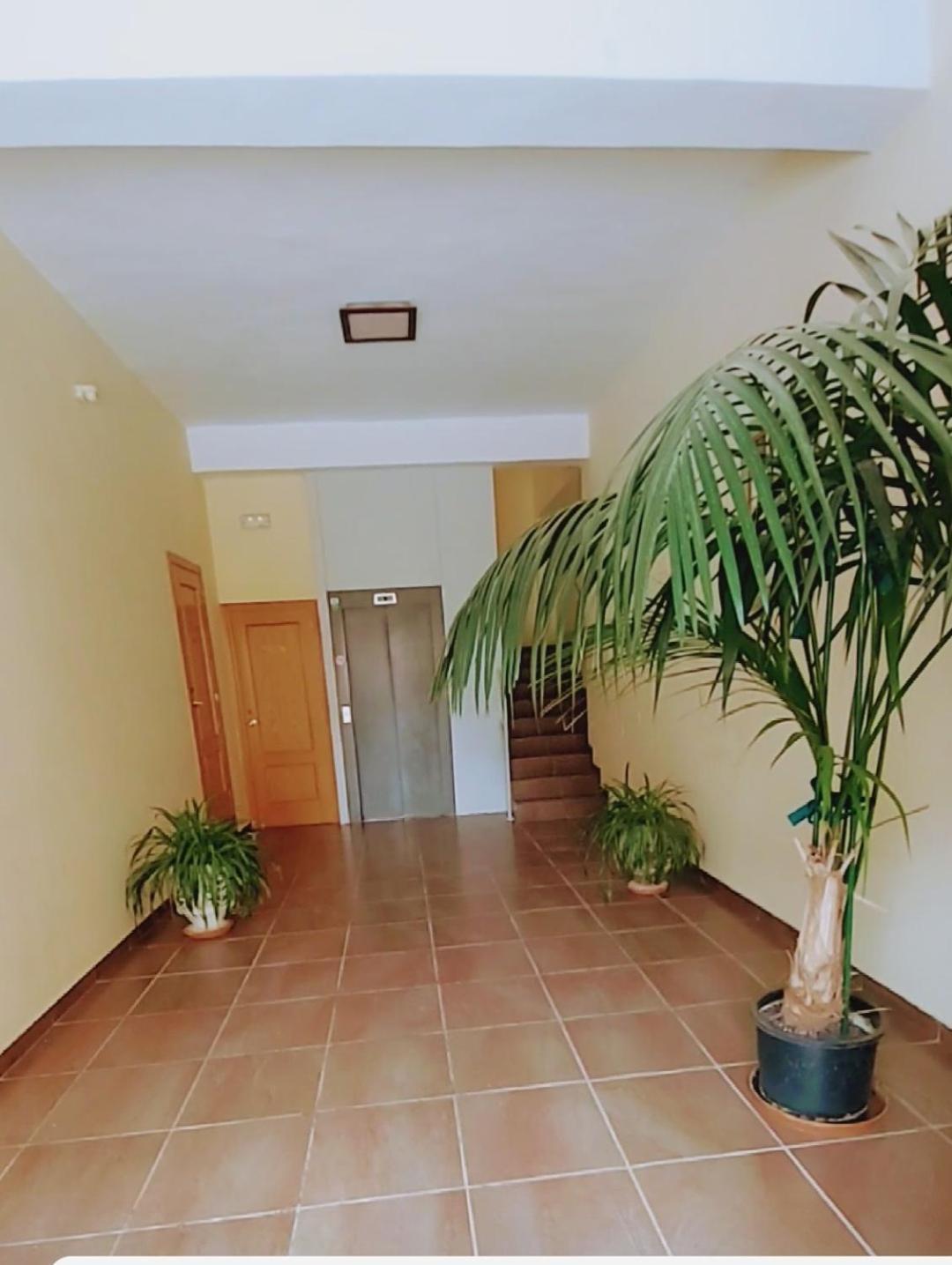 Apartamento Con Vistas A La Montana Oasis Сан-Вісенте-де-ла-Сонсьєрра Екстер'єр фото